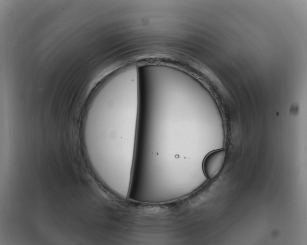 X0000102230826200807250806