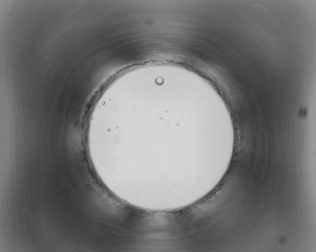 X0000102230828200807250806