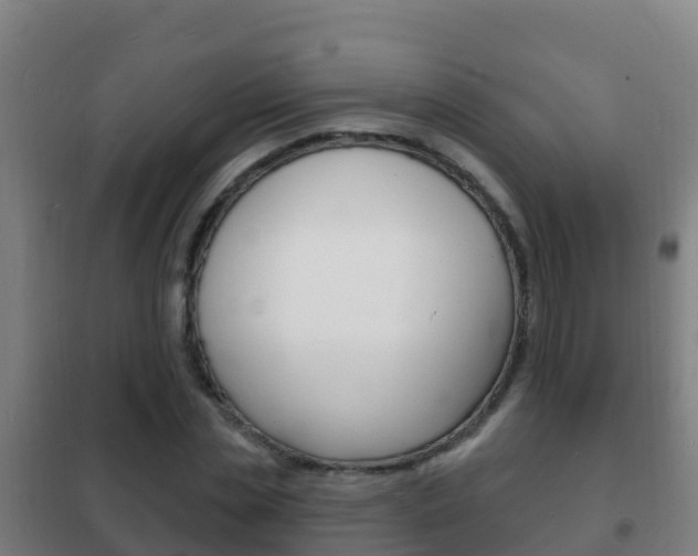 X0000102230829200807250806