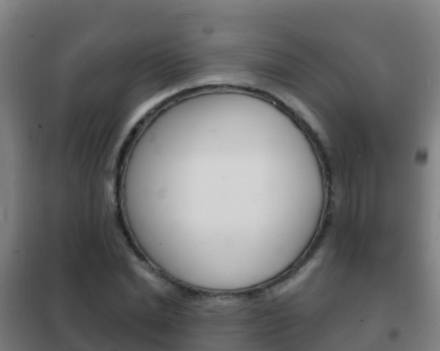 X0000102230830200807250806