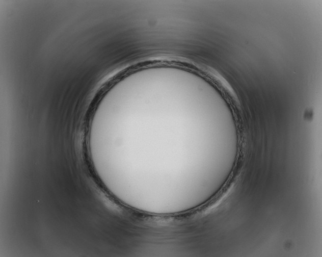 X0000102230831200807250807