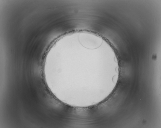 X0000102230832200807250807