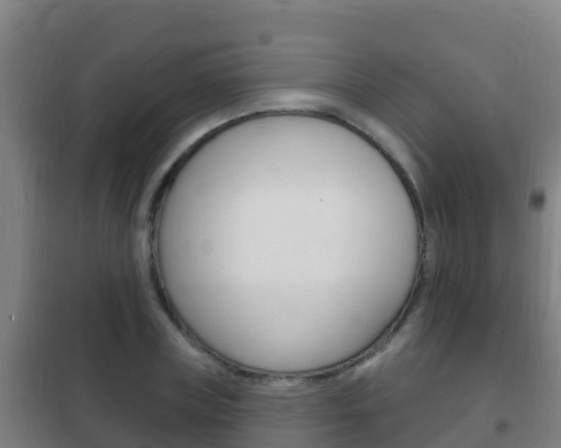 X0000102230835200807250807