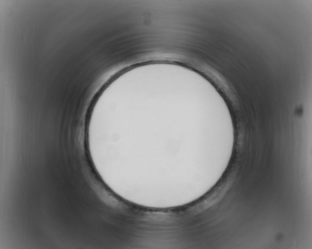 X0000102230836200807250807