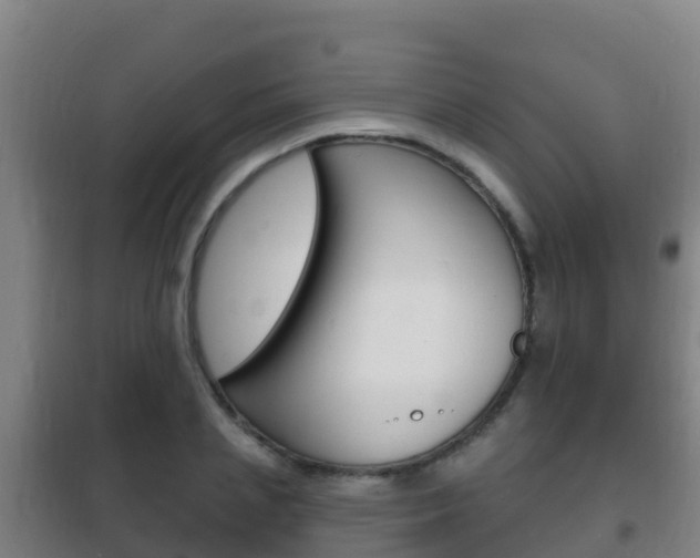 X0000102230837200807250807