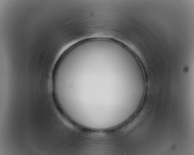 X0000102230838200807250807