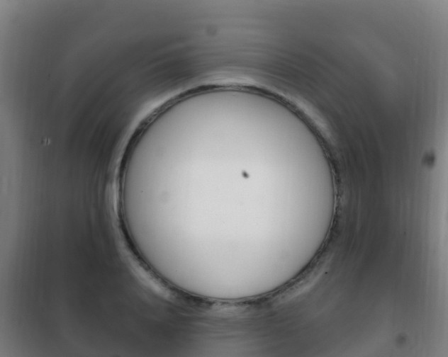 X0000102230840200807250807