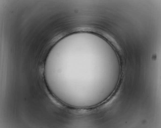 X0000102230841200807250807
