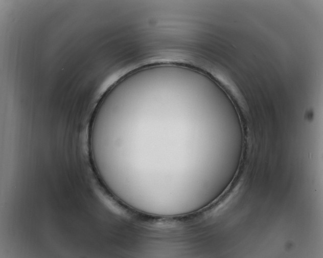 X0000102230842200807250807