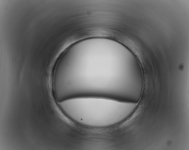 X0000102230843200807250807