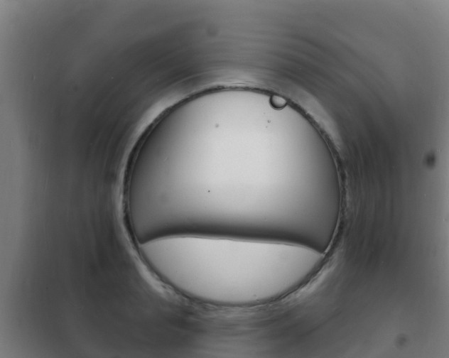 X0000102230845200807250807