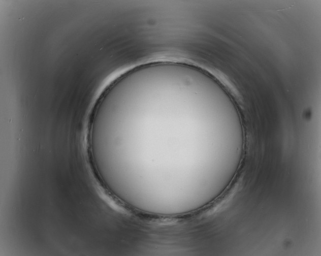 X0000102230846200807250807