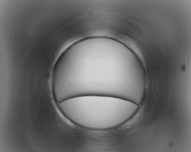 X0000102230847200807250807