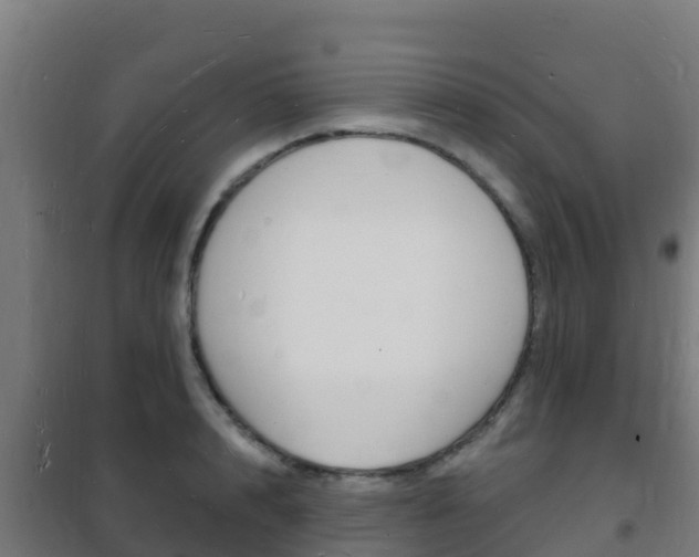X0000102230848200807250807