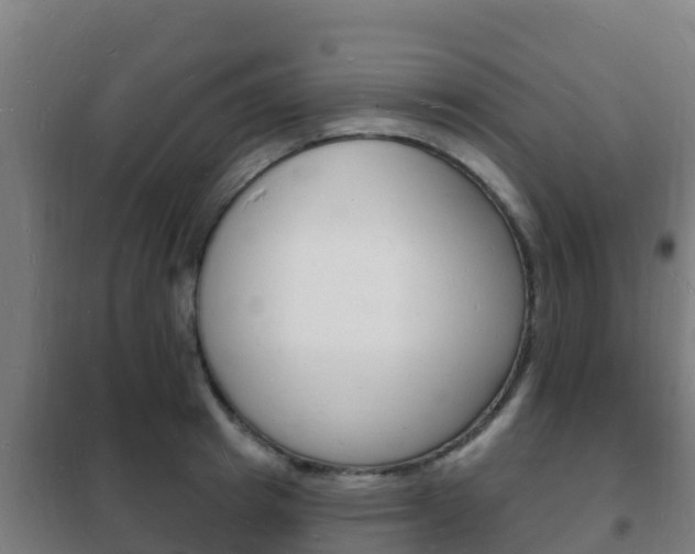 X0000102230849200807250807