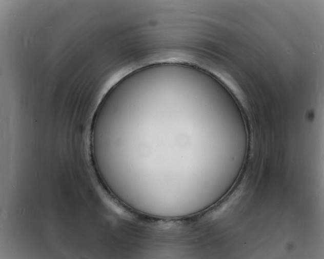 X0000102230850200807250807