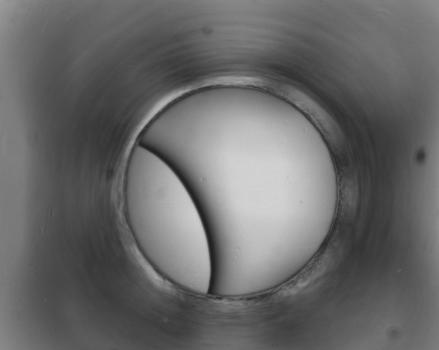 X0000102230852200807250807