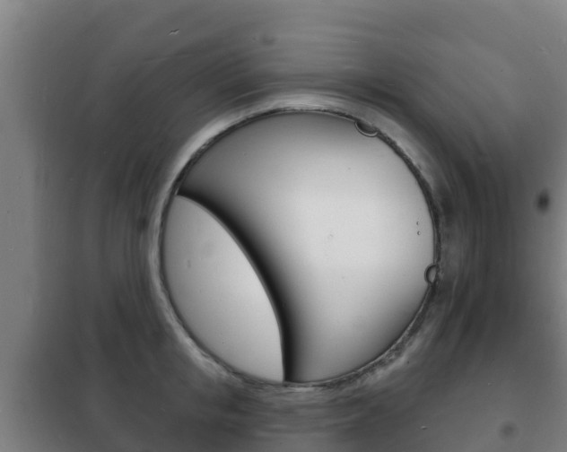 X0000102230853200807250807
