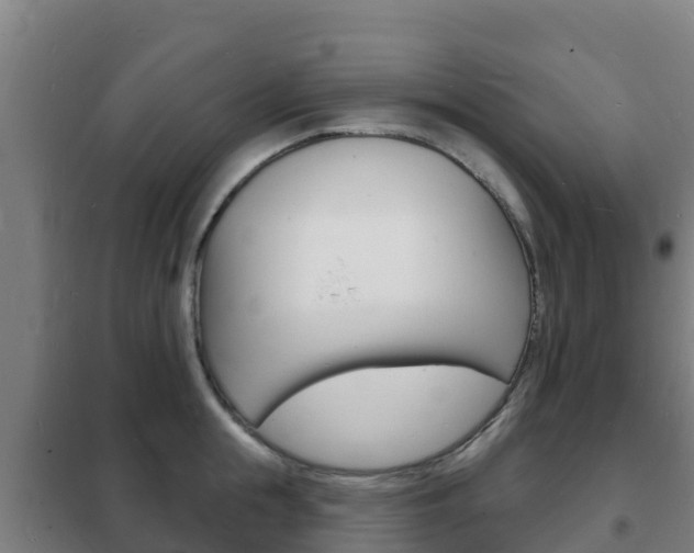 X0000102230855200807250807