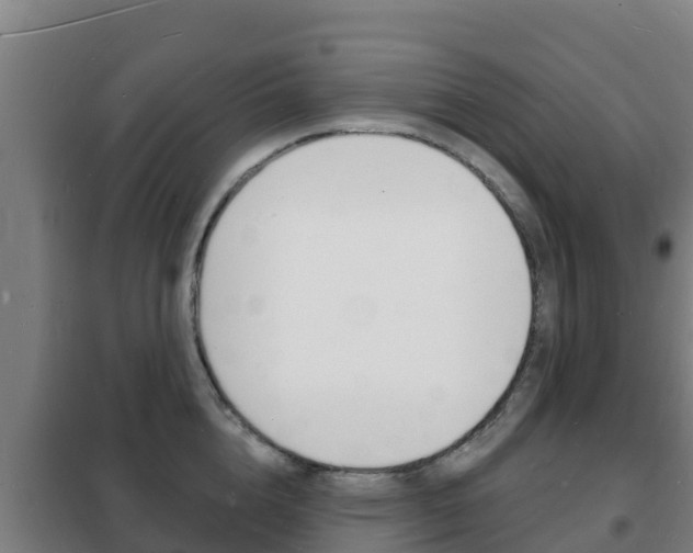 X0000102230856200807250807
