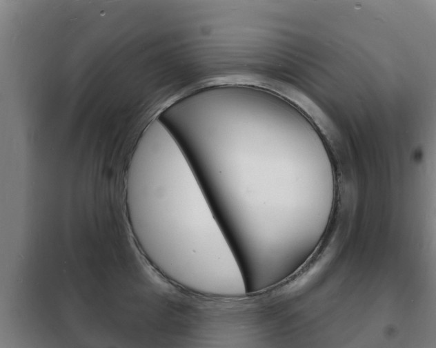 X0000102230857200807250807