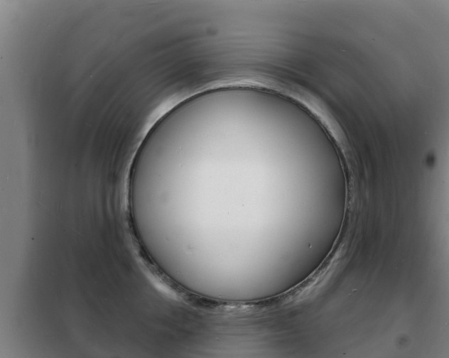 X0000102230858200807250807