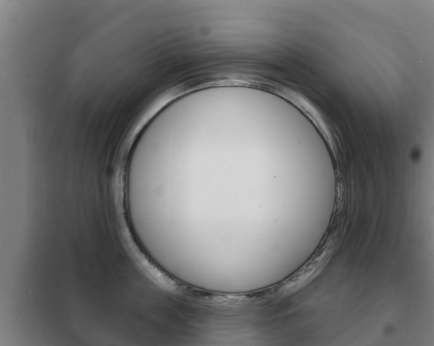 X0000102230859200807250807
