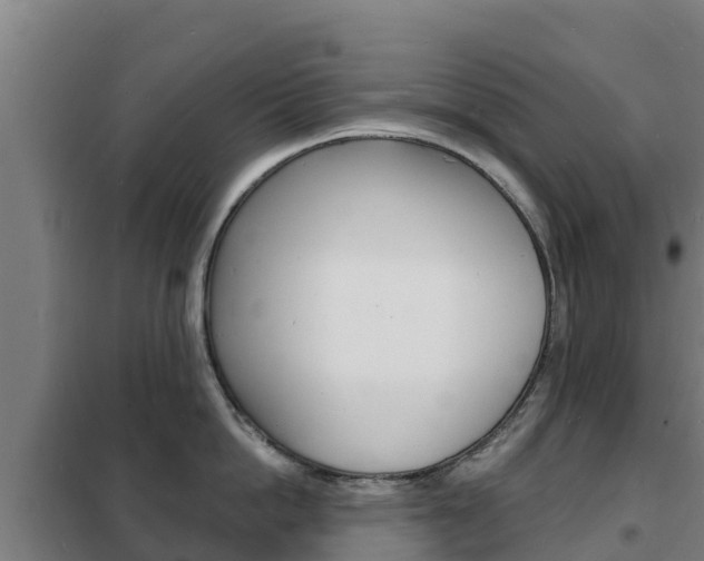 X0000102230862200807250807