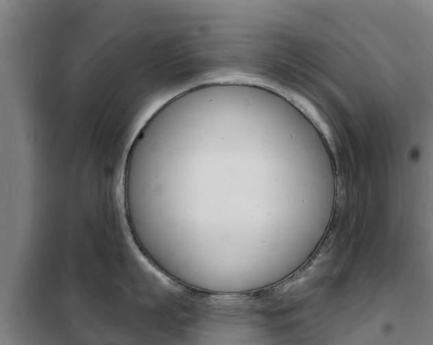 X0000102230863200807250807