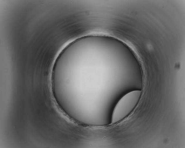X0000102230864200807250807