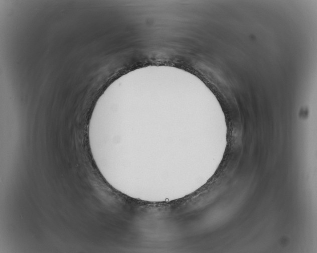 X0000102230865200807250806