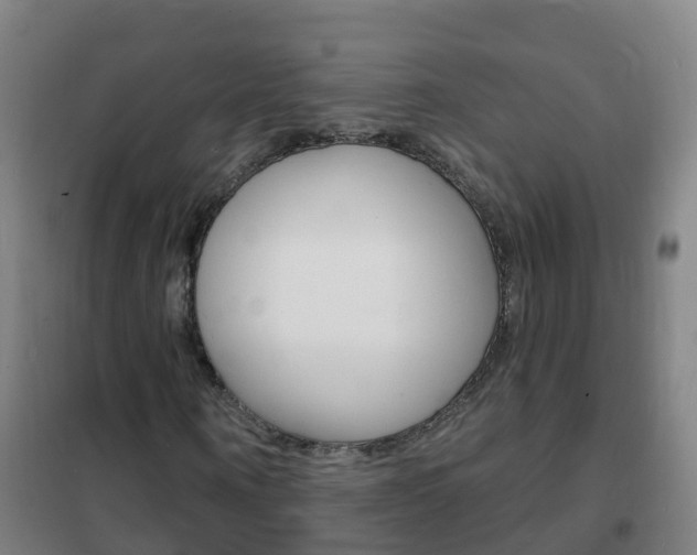 X0000102230866200807250806