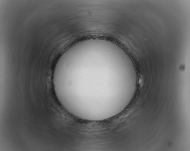 X0000102230867200807250806