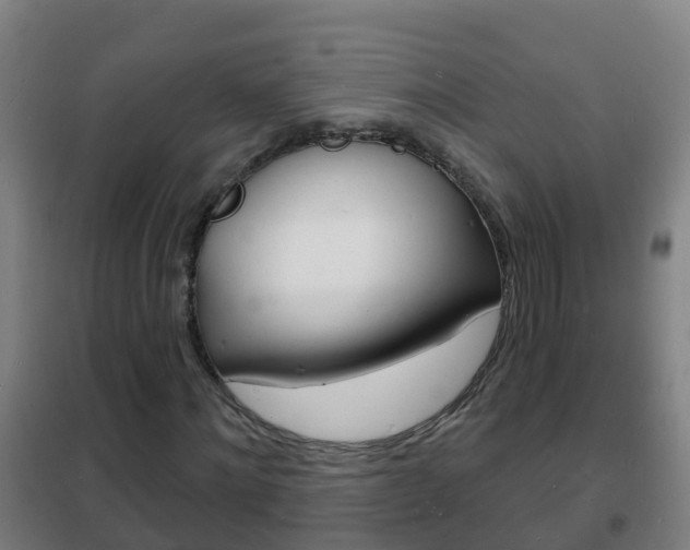 X0000102230868200807250806