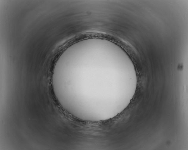 X0000102230870200807250806