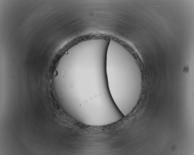X0000102230871200807250806