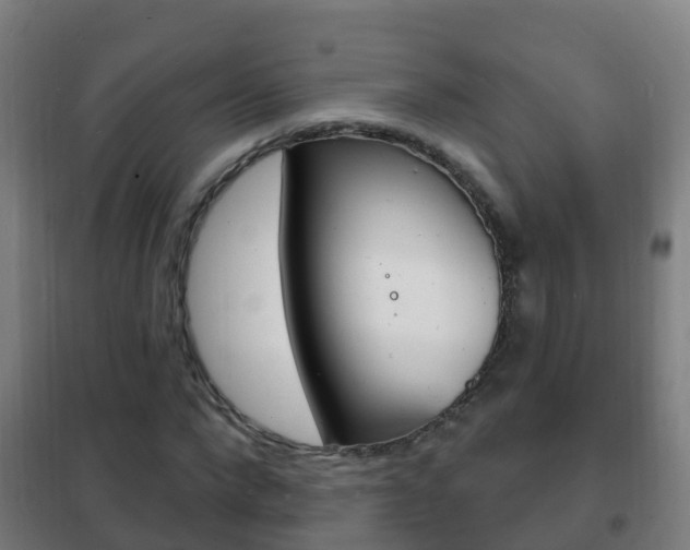 X0000102230872200807250806