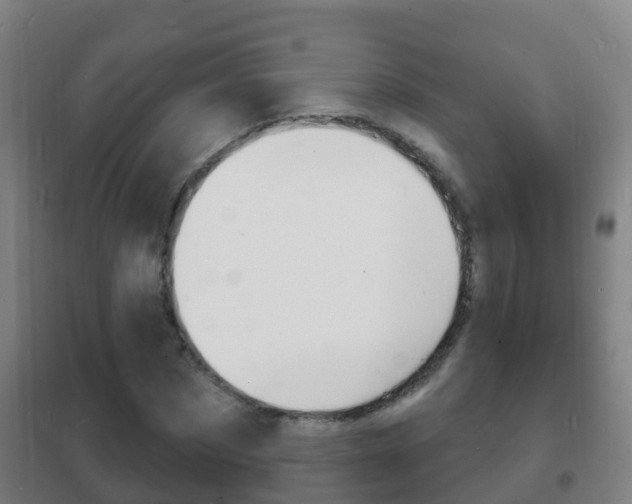 X0000102230873200807250806