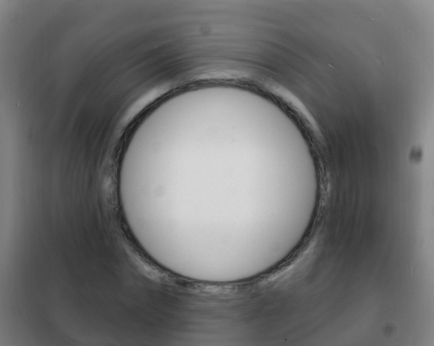 X0000102230874200807250806