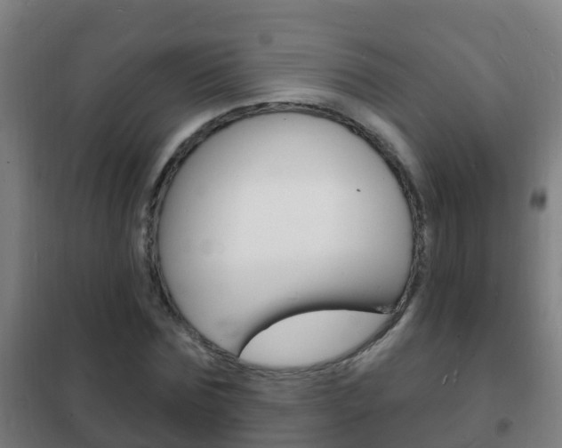 X0000102230875200807250806