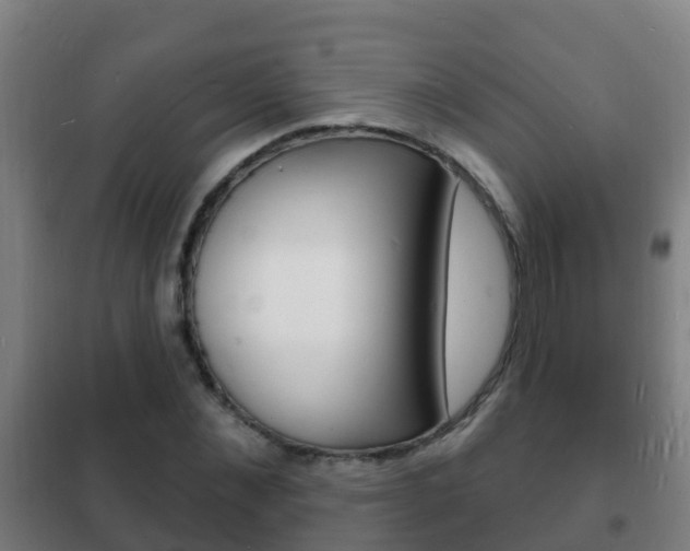 X0000102230876200807250806