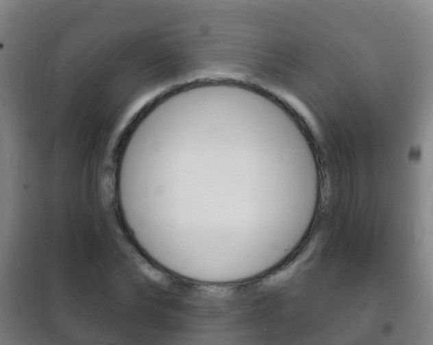 X0000102230878200807250806