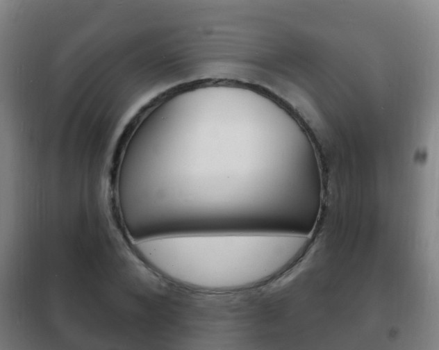 X0000102230880200807250806