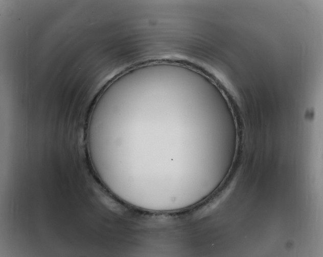 X0000102230881200807250806