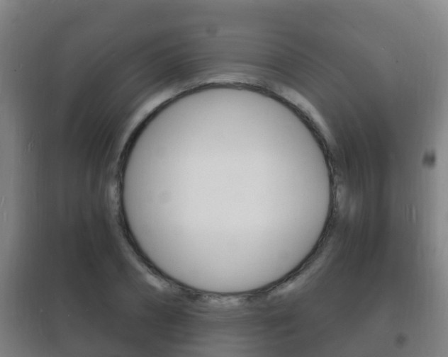 X0000102230882200807250806