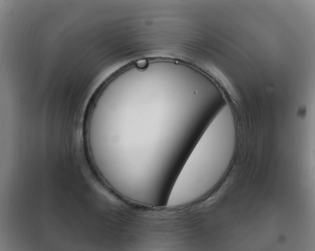 X0000102230884200807250806