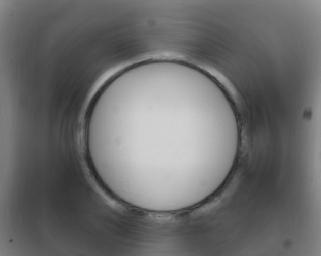 X0000102230886200807250806