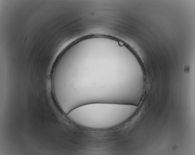 X0000102230887200807250806