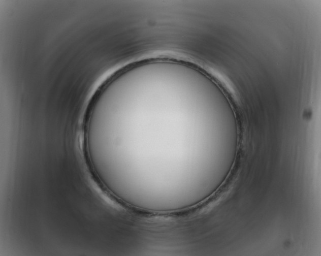 X0000102230888200807250806