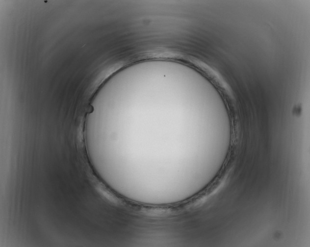 X0000102230889200807250806